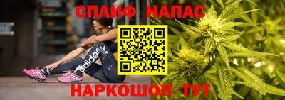 прущие грибы Новокубанск