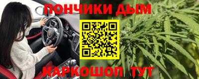 прущие грибы Новокубанск