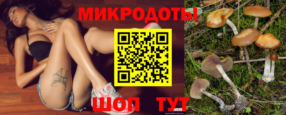 Псилоцибиновые грибы Psilocybine cubensis  Вход с VPN  Семёнов  Псилоцибиновые грибы GOLDEN TEACHER 