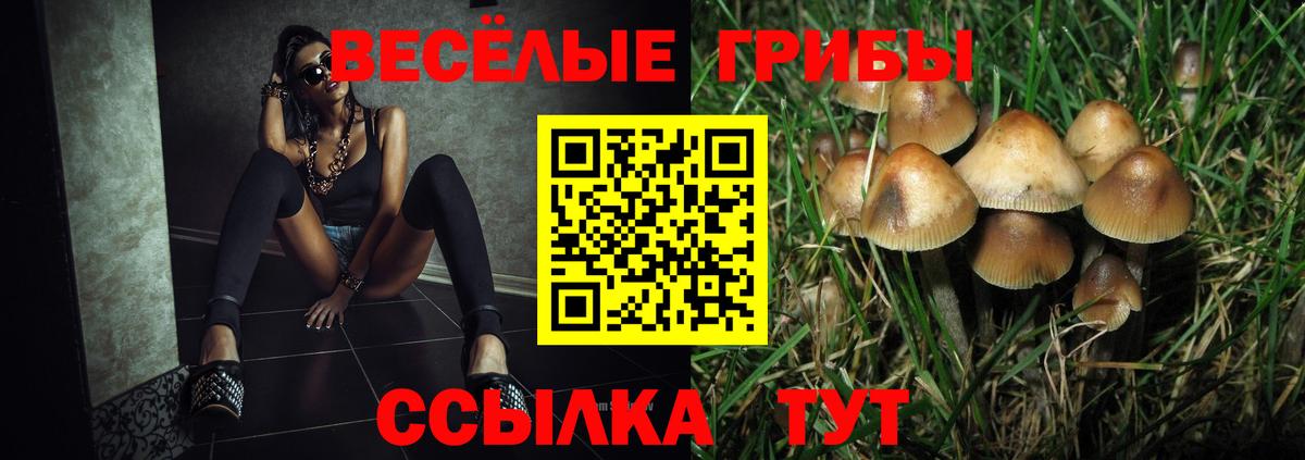 Псилоцибиновые грибы Psilocybe Семёнов